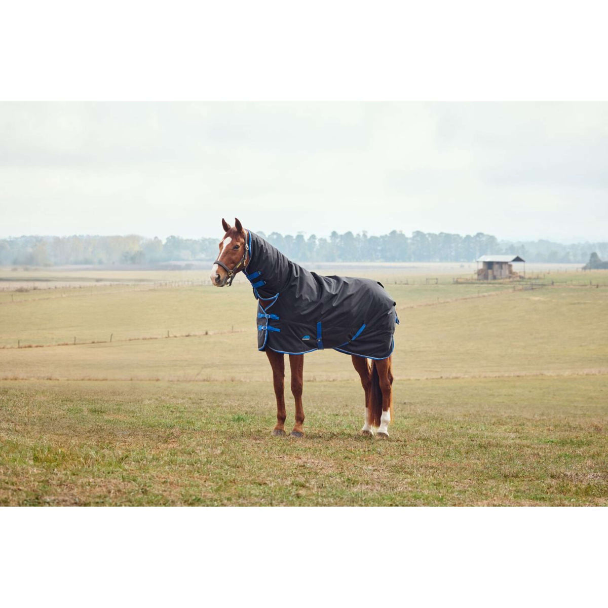 WeatherBeeta ComFiTec Tyro Turnout Combo Neck 220g Zwart/Kobalt