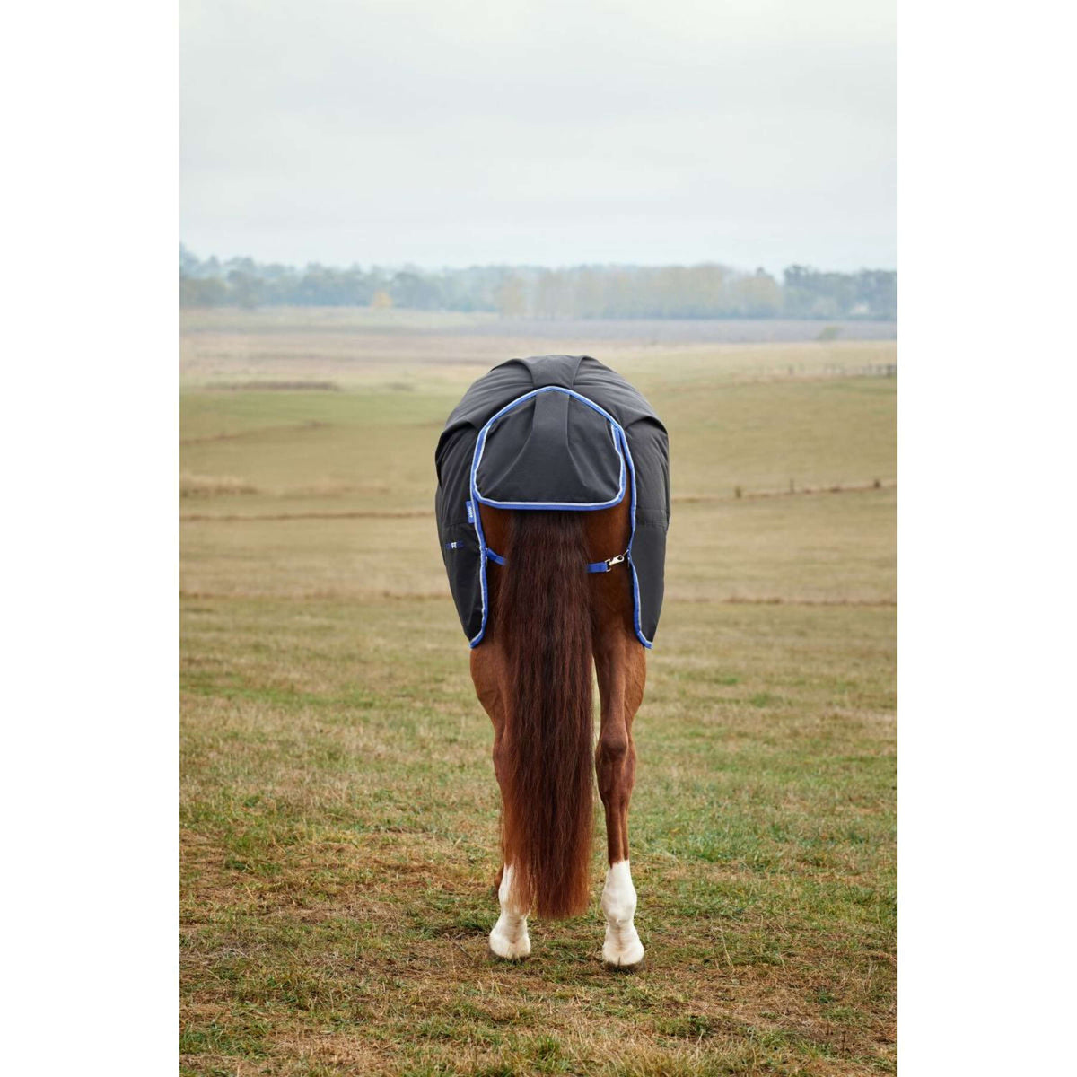 WeatherBeeta ComFiTec Tyro Turnout Standard Neck 220g Zwart/Kobalt