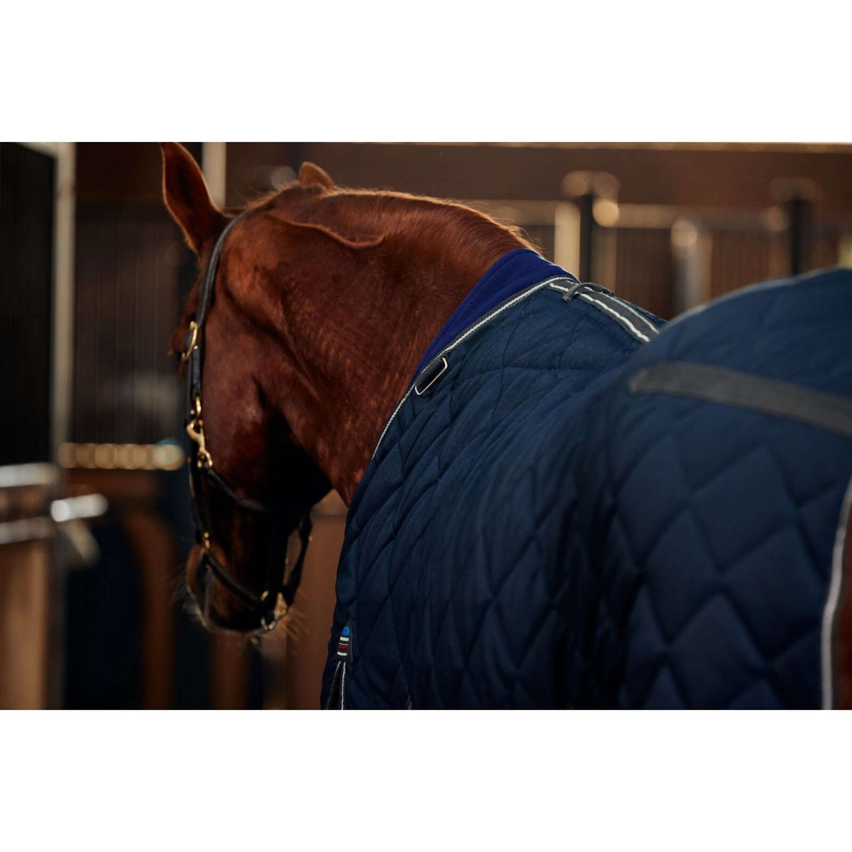 WeatherBeeta Staldeken ComFiTec 100D Diamond Quilt Detach-A-Neck 220g Navy/Charcoal