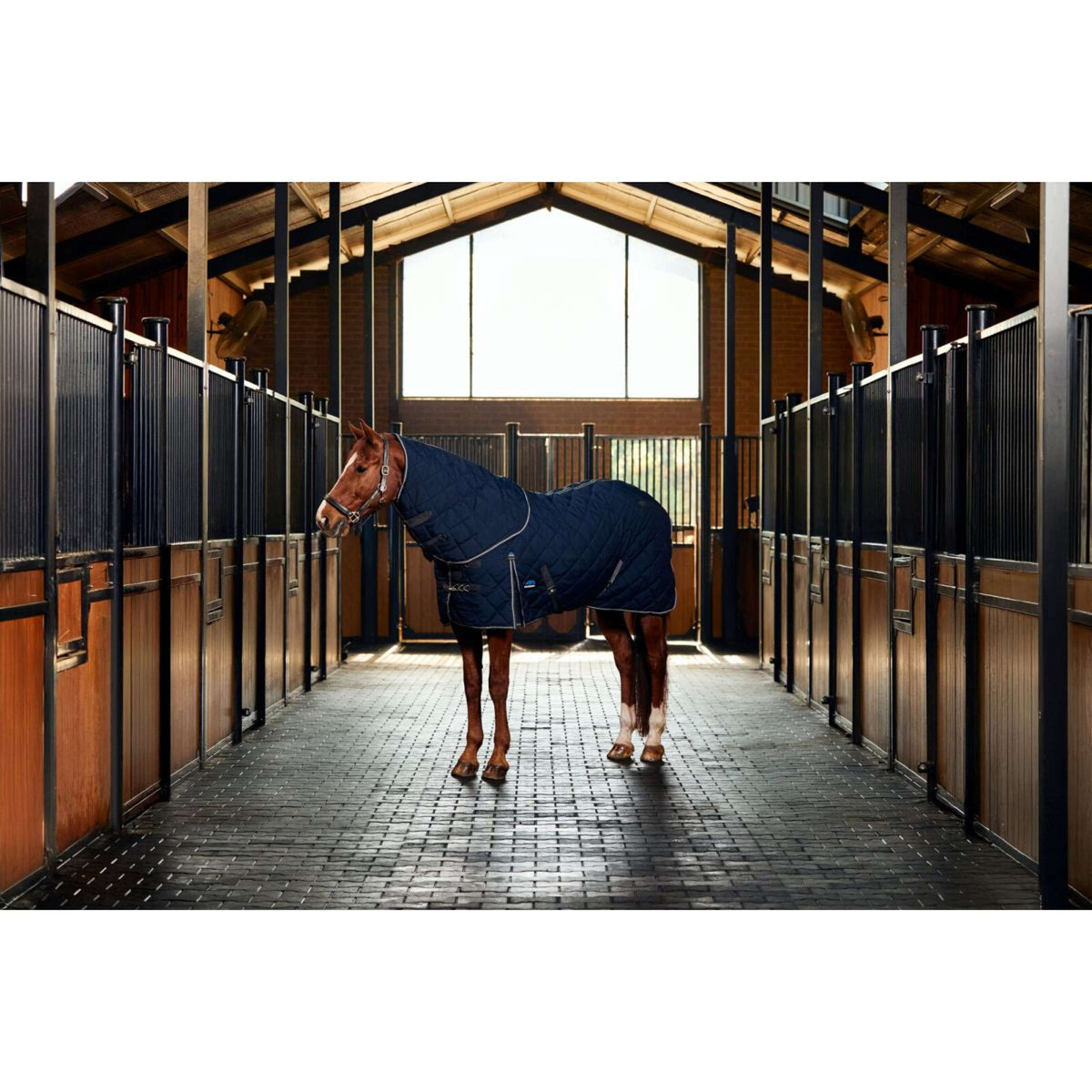 WeatherBeeta Staldeken ComFiTec 100D Diamond Quilt Detach-A-Neck 220g Navy/Charcoal