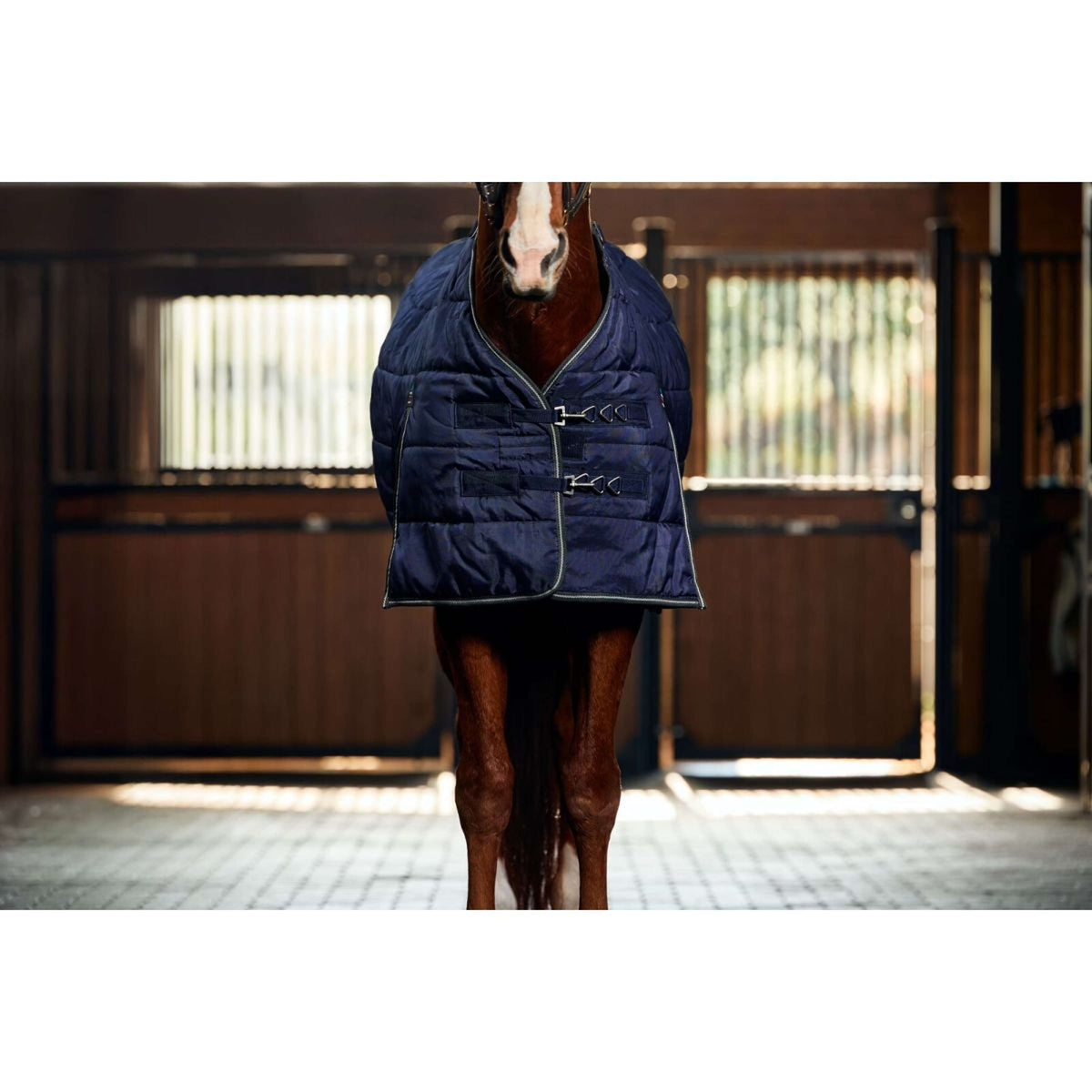 WeatherBeeta Staldeken ComFiTec PP Channel Quilt Detach-A-Neck 220g Navy/Charcoal