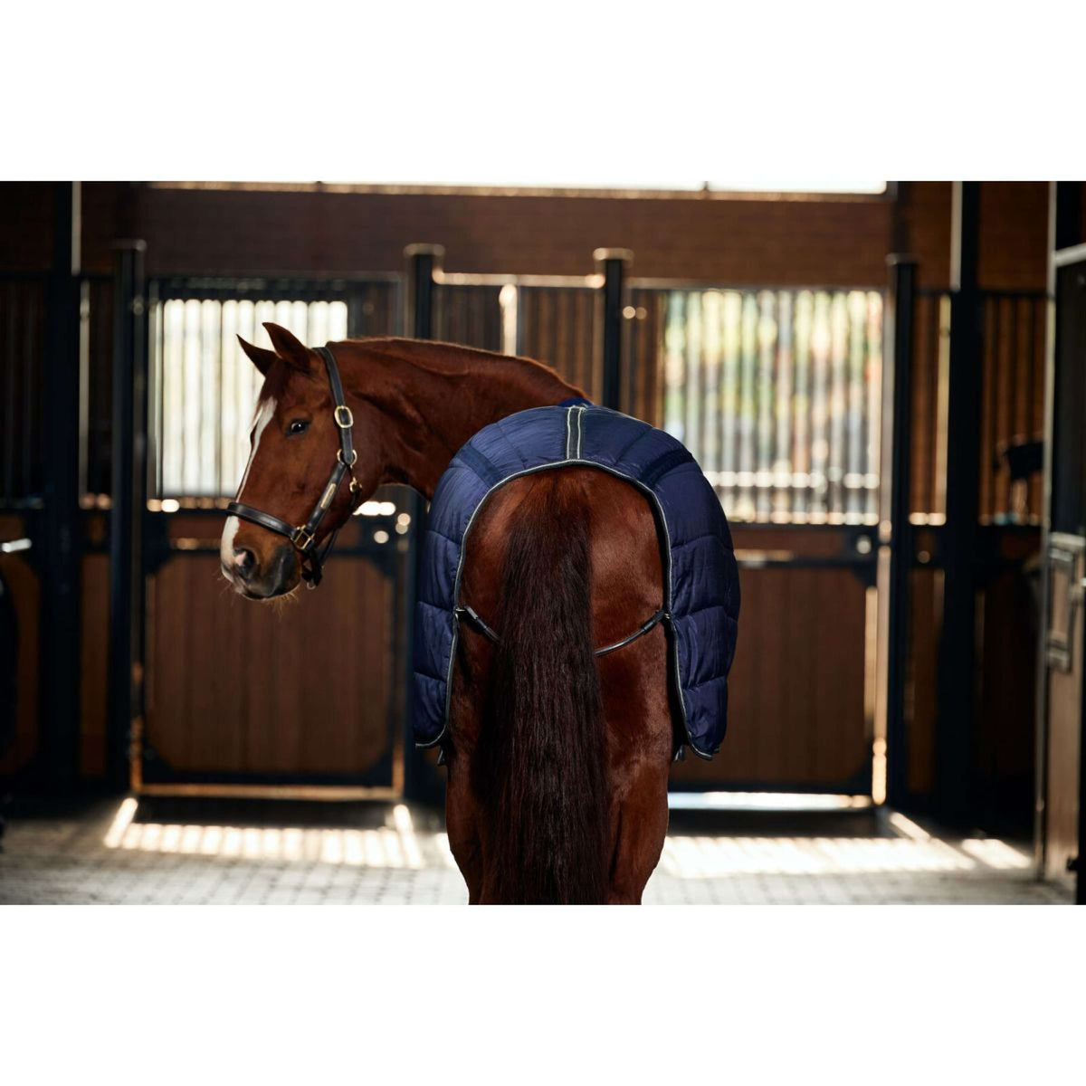 WeatherBeeta Staldeken ComFiTec PP Channel Quilt Detach-A-Neck 220g Navy/Charcoal