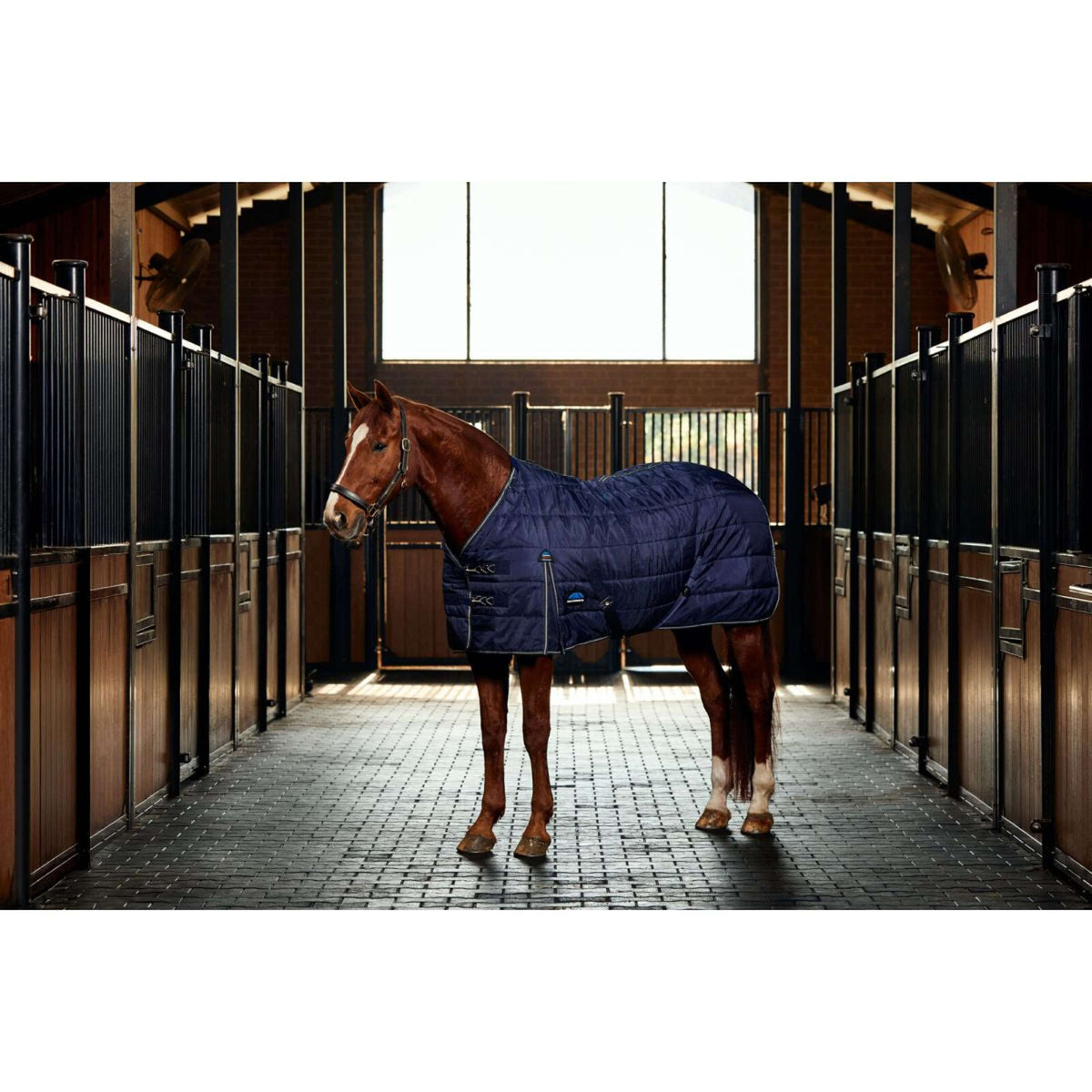 WeatherBeeta Staldeken ComFiTec PP Channel Quilt Detach-A-Neck 220g Navy/Charcoal