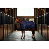 WeatherBeeta Staldeken ComFiTec PP Channel Quilt Detach-A-Neck 220g Navy/Charcoal