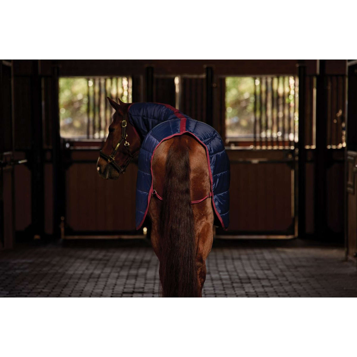 WeatherBeeta Staldeken ComFiTec 210D Channel Quilt Combo Neck 100g Navy/Burgundy