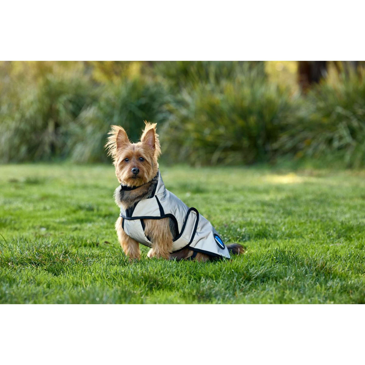 WeatherBeeta Hondendeken ComFiTec Reflective Showerproof Zilver