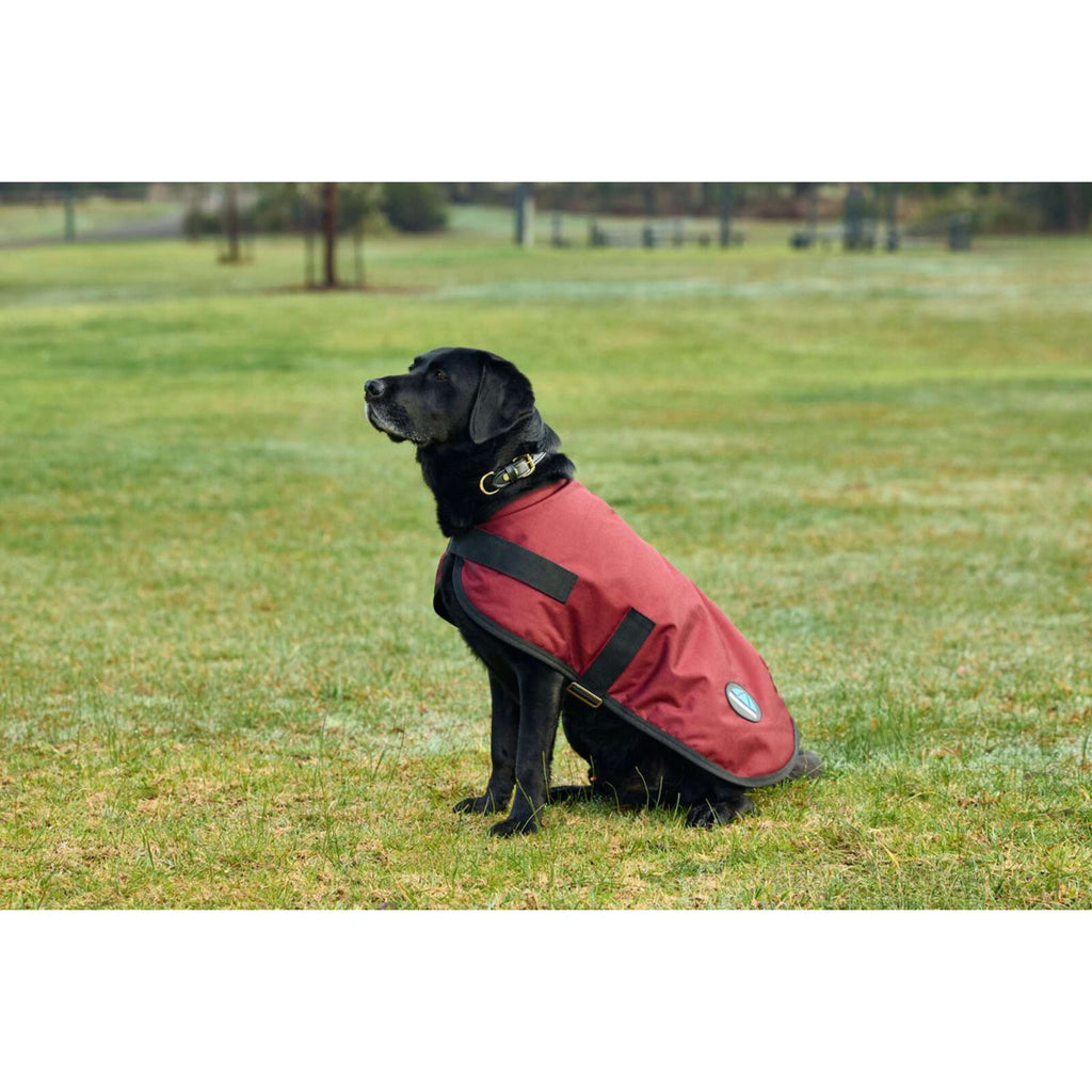 WeatherBeeta Hondendeken ComFiTec Classic Waterproof Burgundy