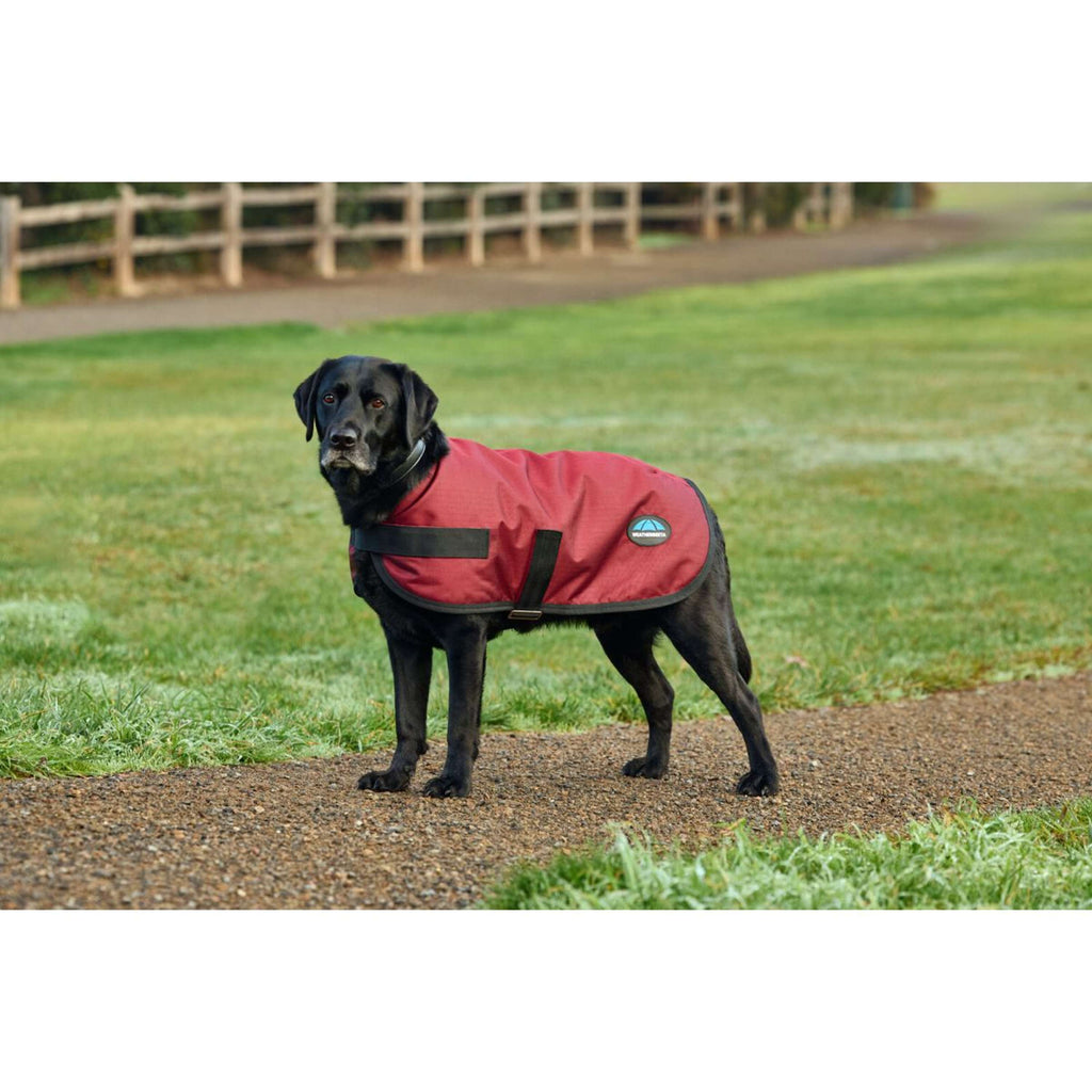 WeatherBeeta Hondendeken ComFiTec Classic Waterproof Burgundy