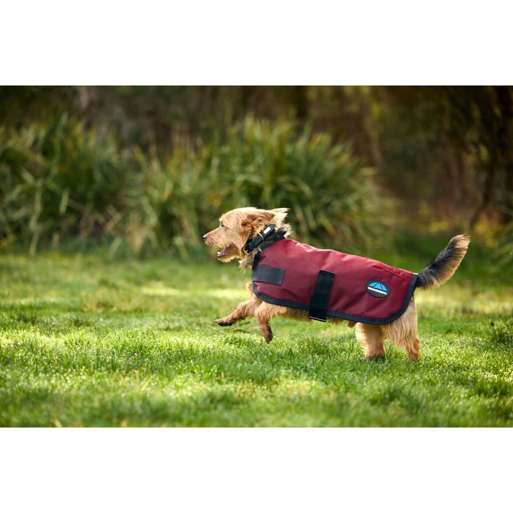 WeatherBeeta Hondendeken ComFiTec Classic Waterproof Burgundy