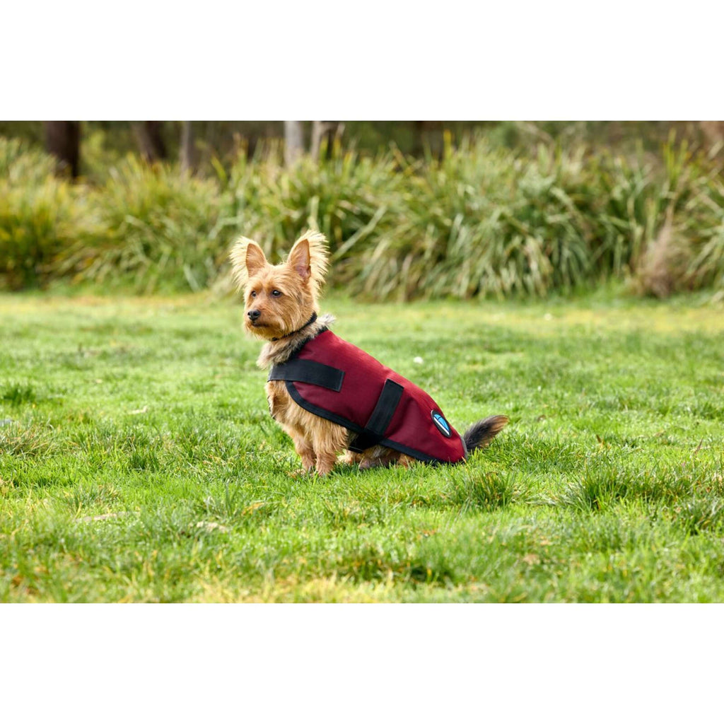WeatherBeeta Hondendeken ComFiTec Classic Waterproof Burgundy