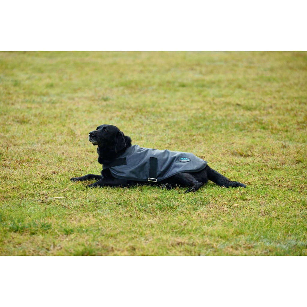 WeatherBeeta Hondendeken ComFiTec Classic Waterproof Charcoal