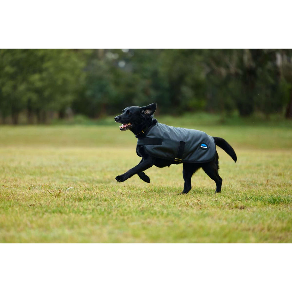 WeatherBeeta Hondendeken ComFiTec Classic Waterproof Charcoal