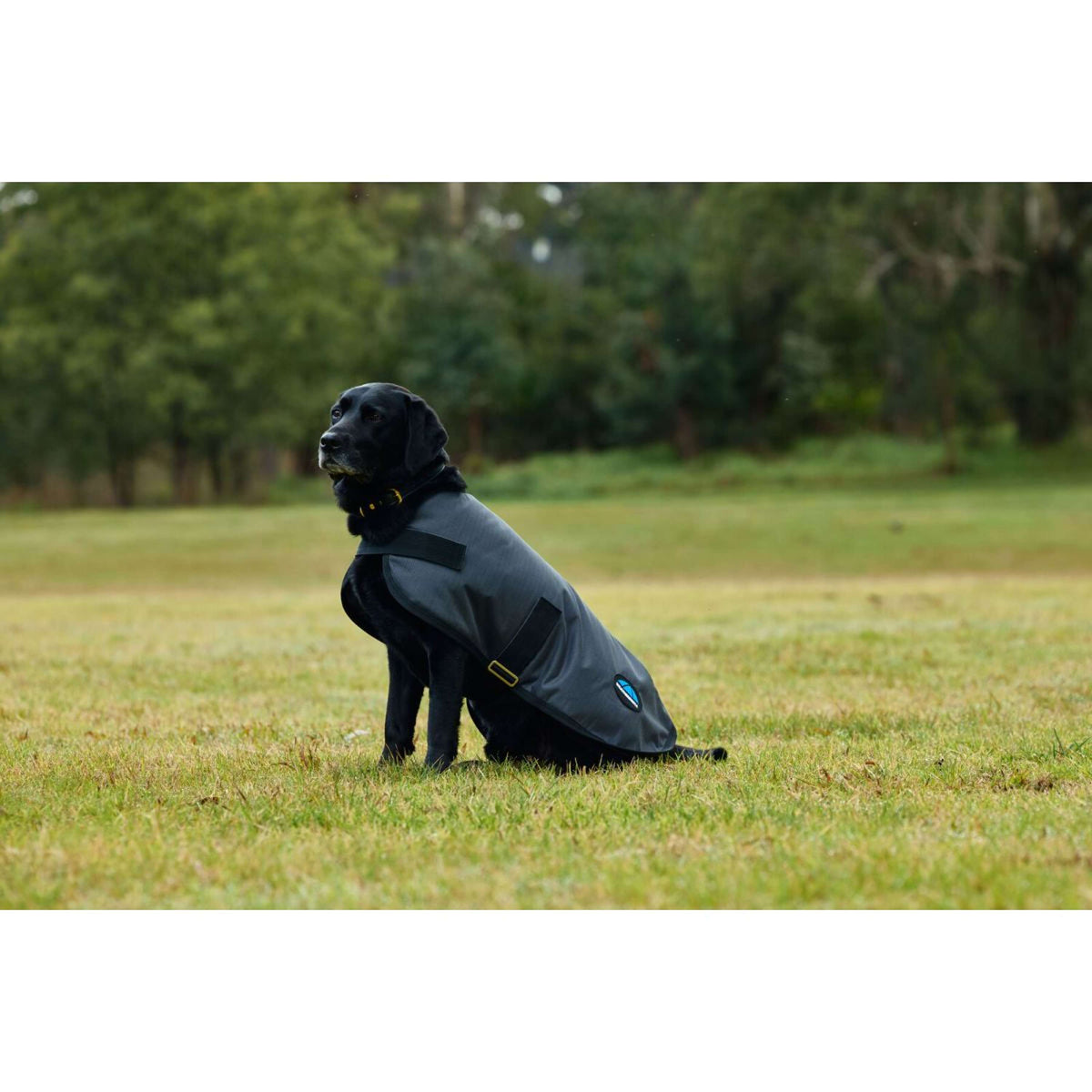 WeatherBeeta Hondendeken ComFiTec Classic Waterproof Charcoal