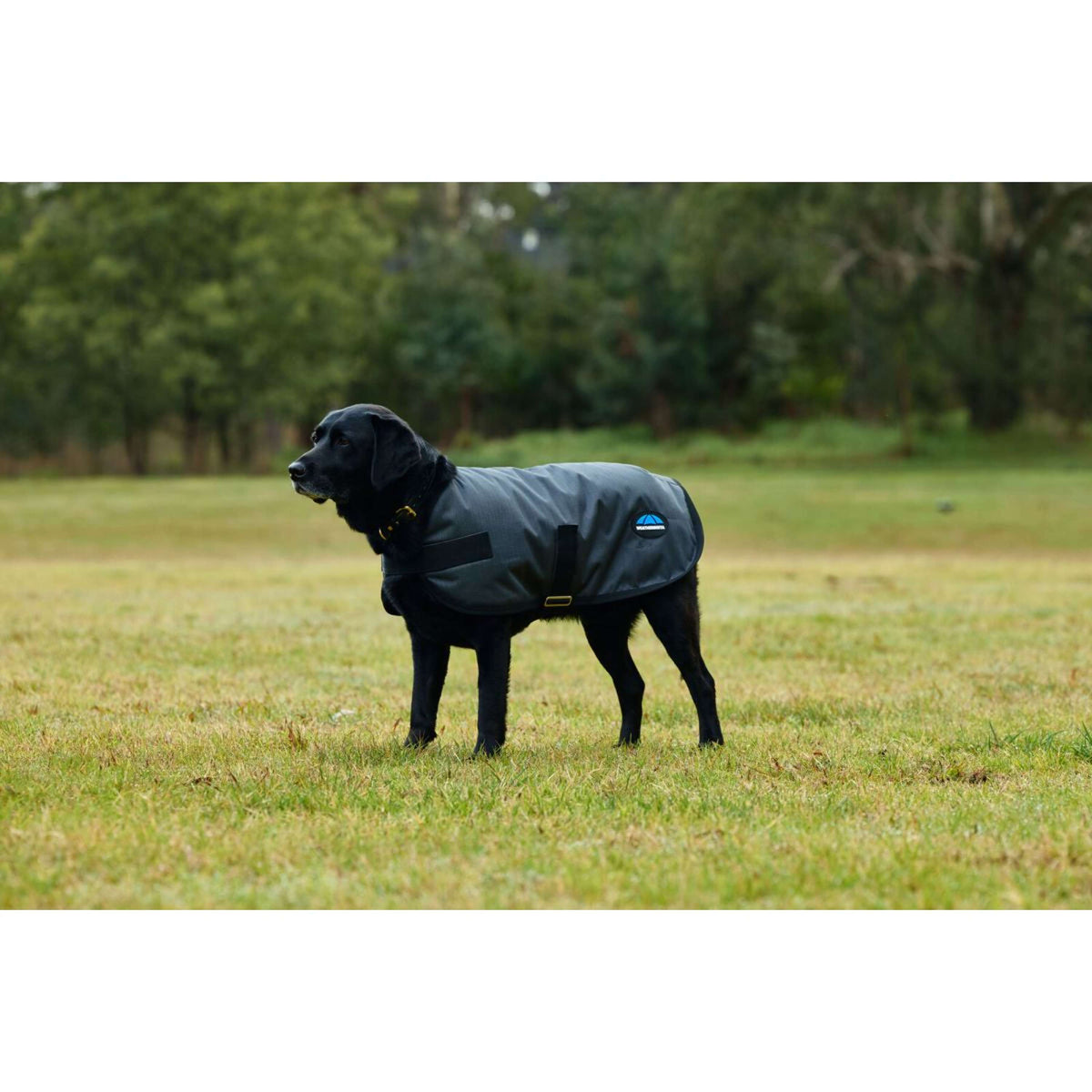 WeatherBeeta Hondendeken ComFiTec Classic Waterproof Charcoal