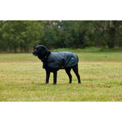 WeatherBeeta Hondendeken ComFiTec Classic Waterproof Charcoal