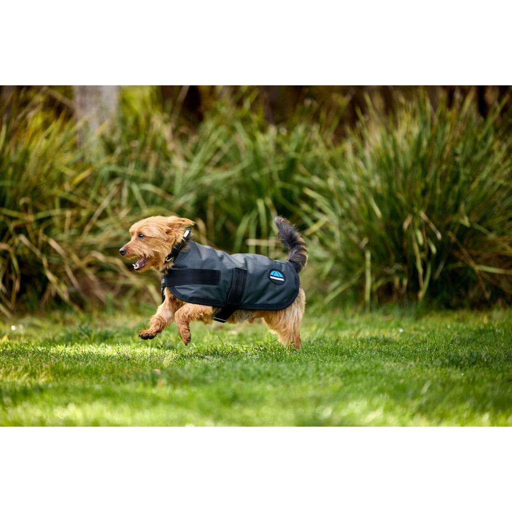 WeatherBeeta Hondendeken ComFiTec Classic Waterproof Charcoal