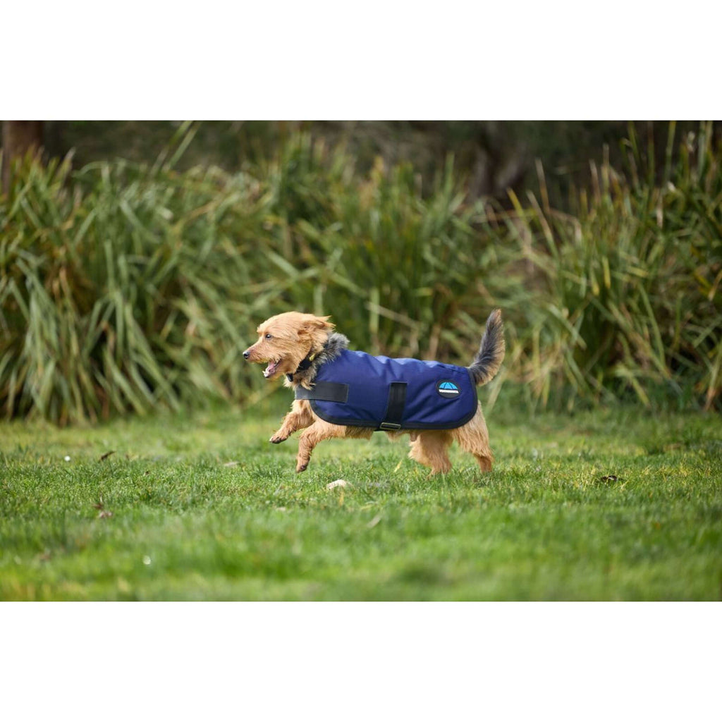 WeatherBeeta Hondendeken ComFiTec Classic Waterproof Navy