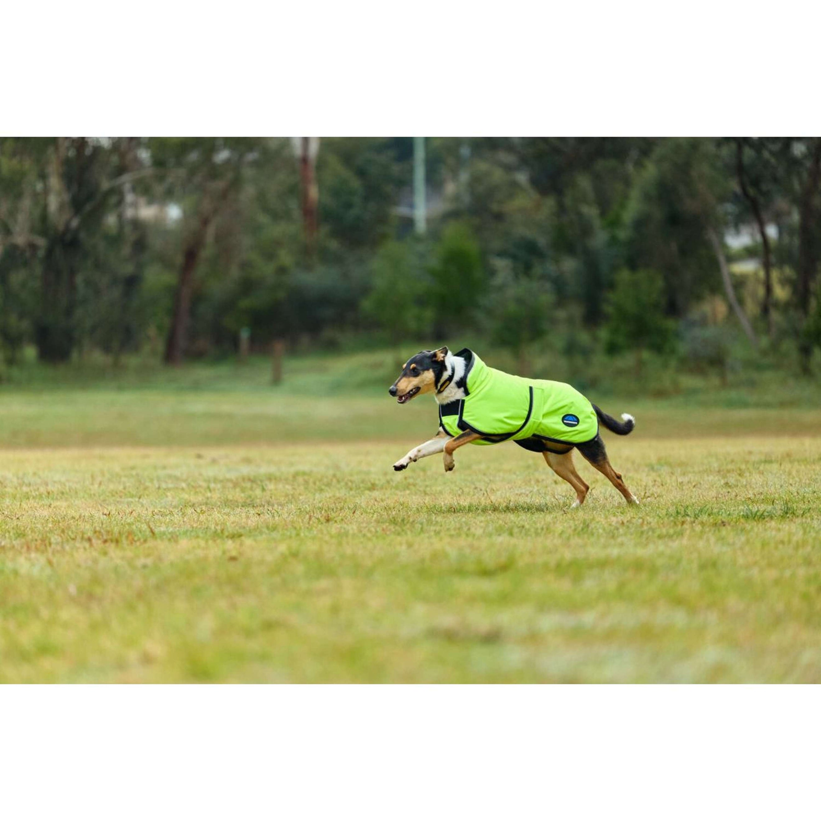 WeatherBeeta Hondendeken ComFiTec Reflective 300D Deluxe Showerproof Geel