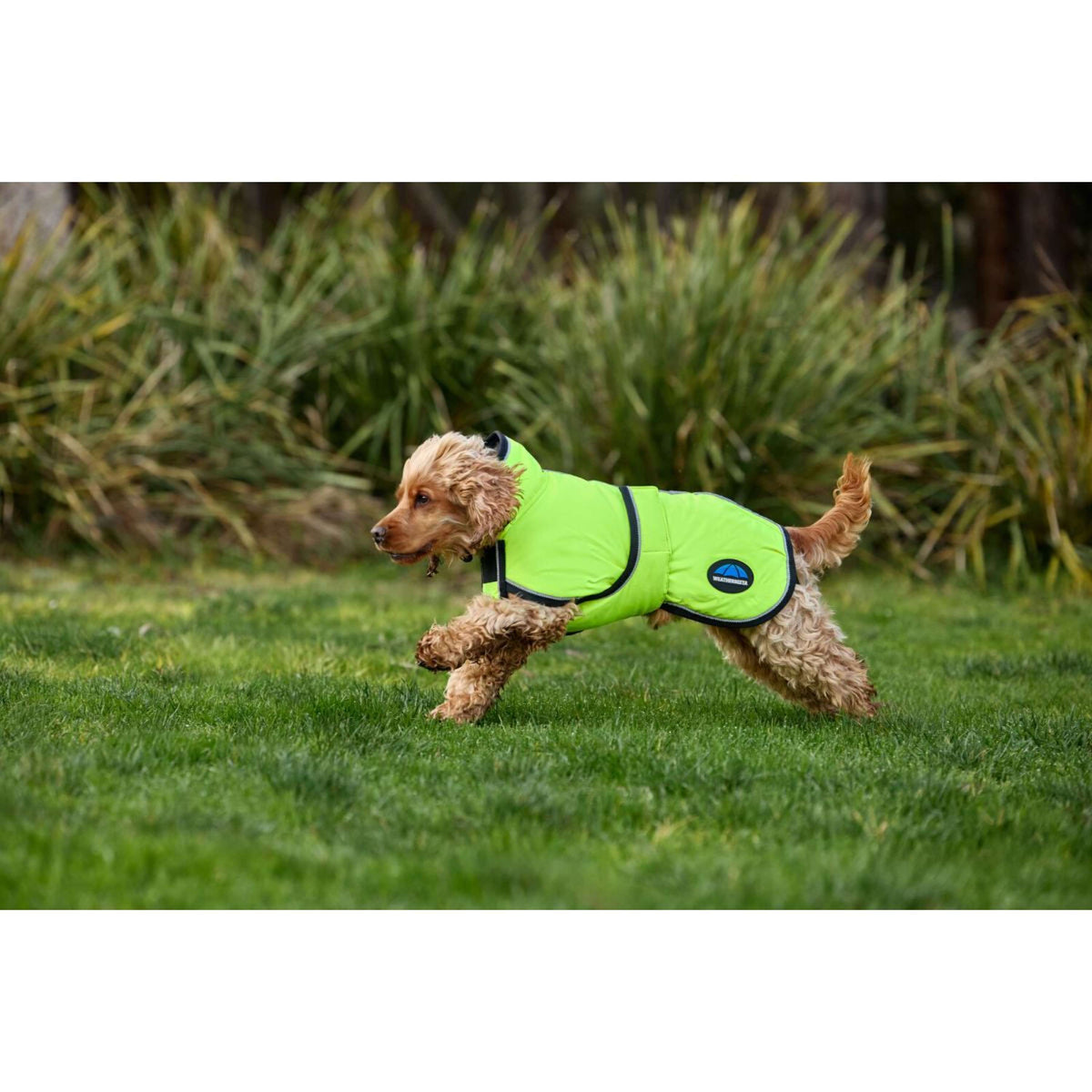 WeatherBeeta Hondendeken ComFiTec Reflective 300D Deluxe Showerproof Geel