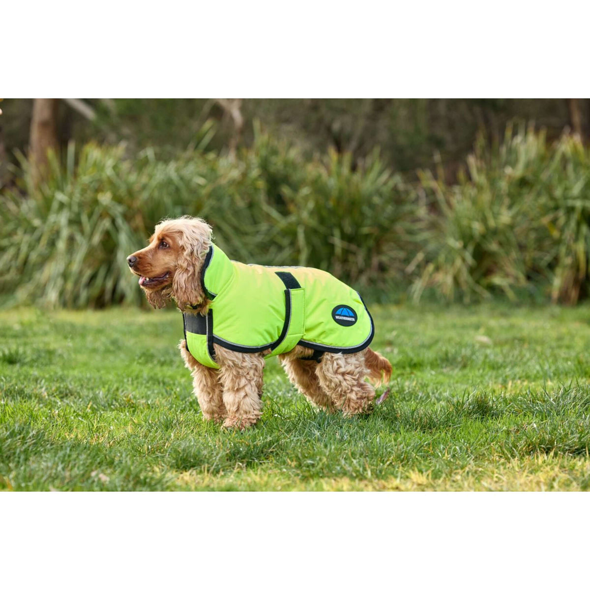 WeatherBeeta Hondendeken ComFiTec Reflective 300D Deluxe Showerproof Geel