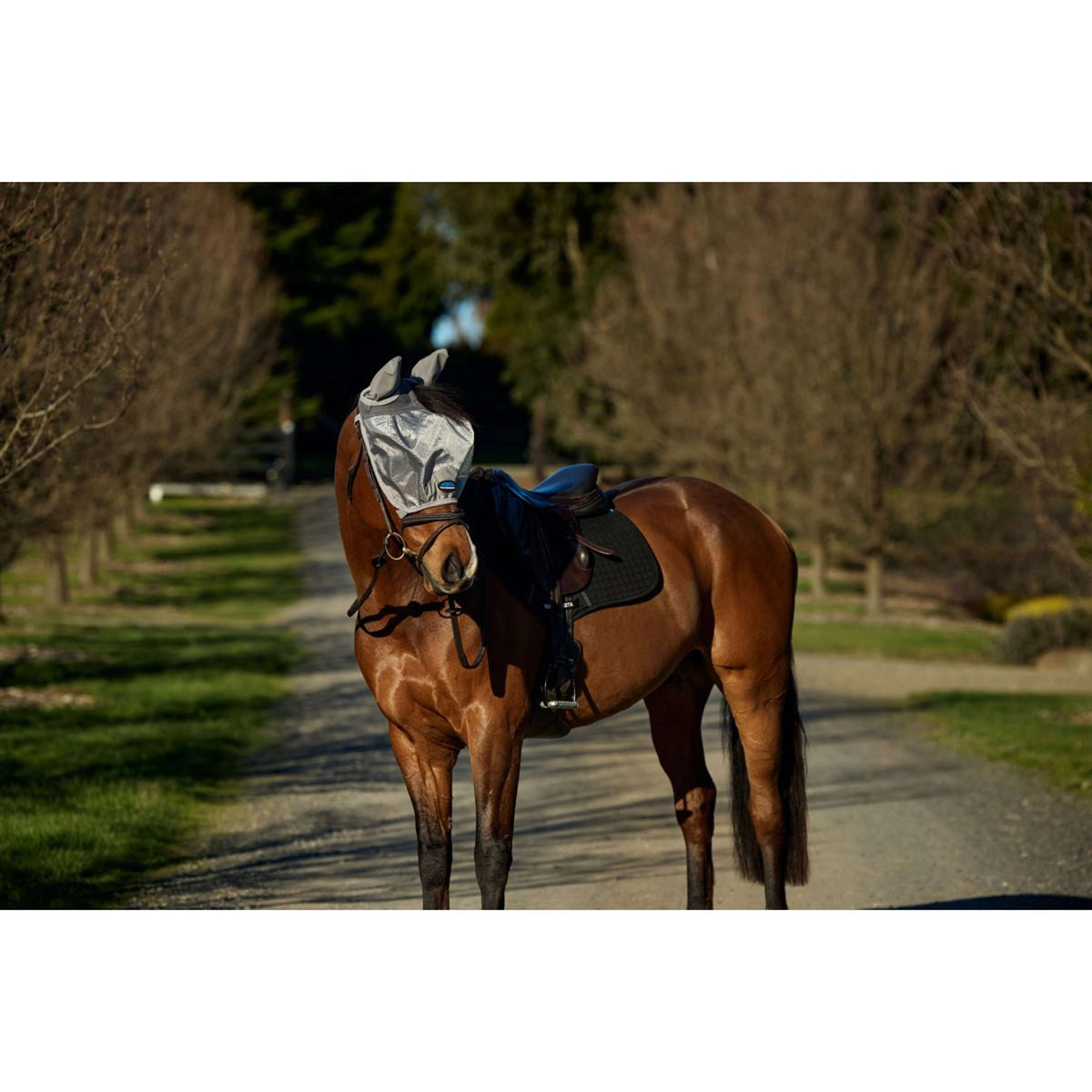 WeatherBeeta Vliegenmasker ComFiTec Hexi Ride On Fly met Oren Zilver