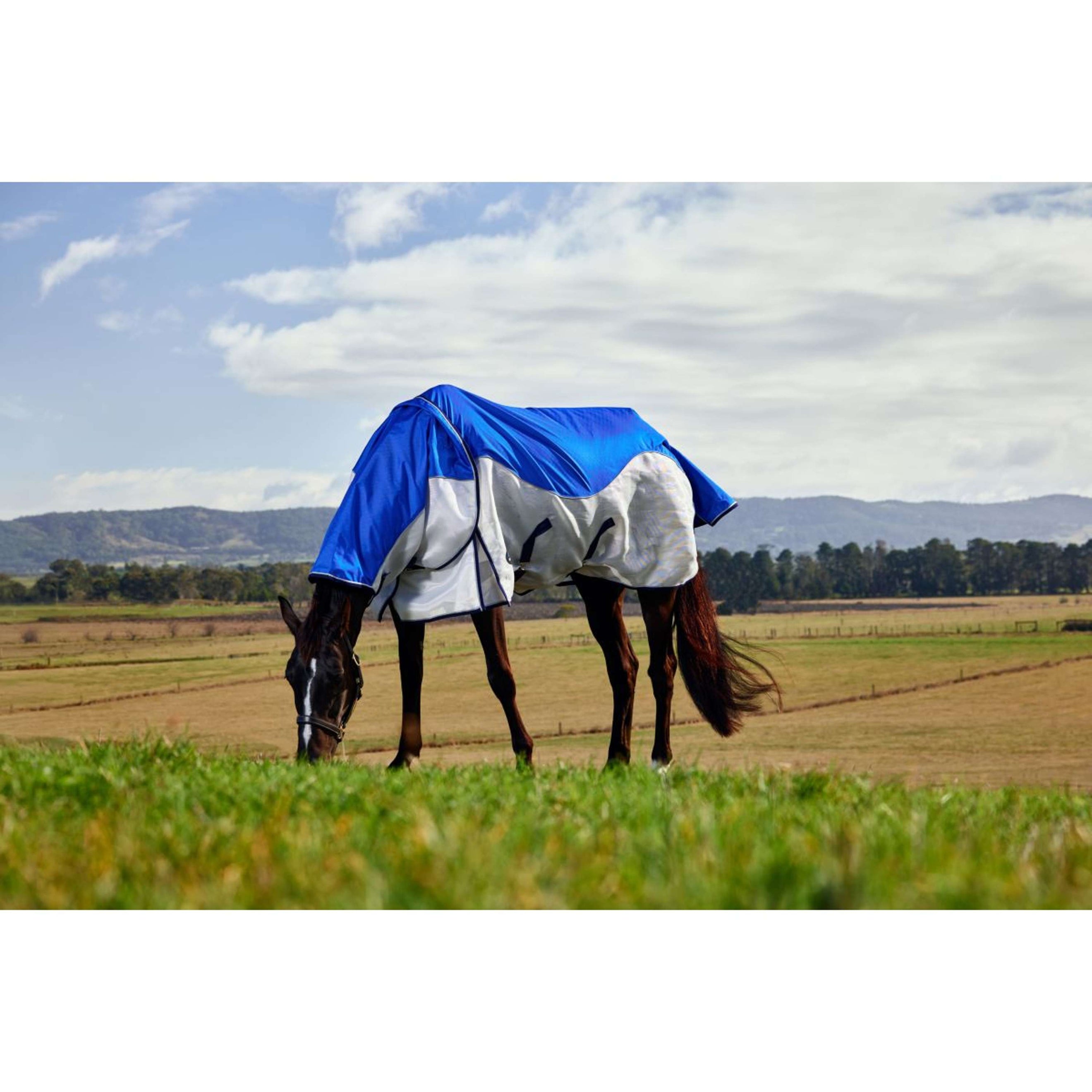 WeatherBeeta ComFiTec Duo Shield Detach-A-Neck Blauw/Zilver/Navy WeatherBeeta ComFiTec Duo Shield Detach-A-Neck Blauw/Zilver/Navy