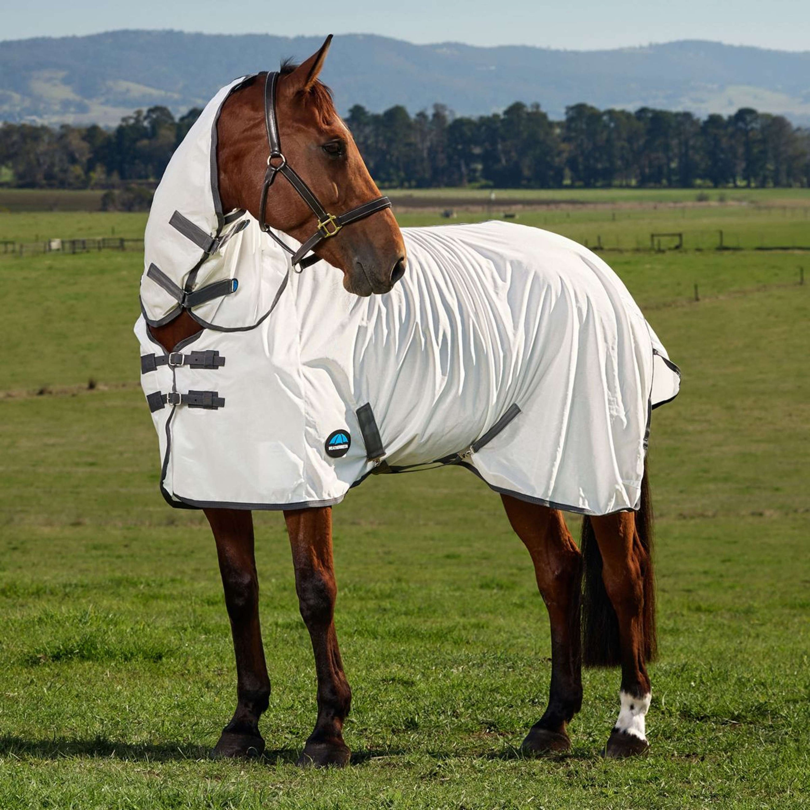 WeatherBeeta Vliegendeken ComFiTec Tyro Combo Wit/Charcoal WeatherBeeta Vliegendeken ComFiTec Tyro Combo Wit/Charcoal