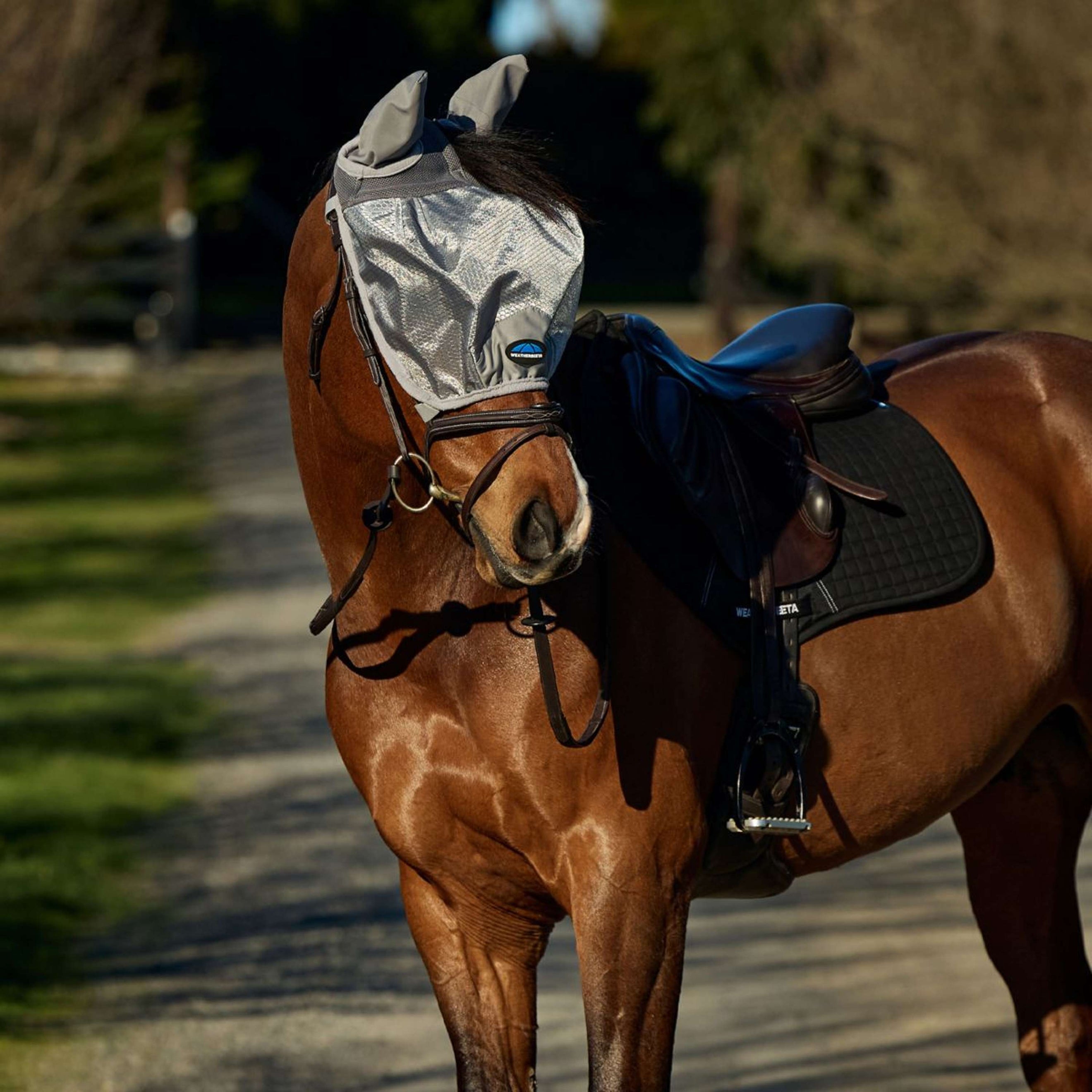 WeatherBeeta Vliegenmasker ComFiTec Hexi Ride On Fly met Oren Zilver
