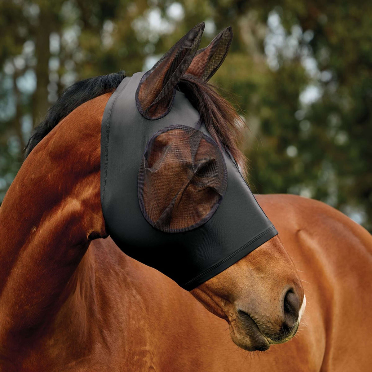 WeatherBeeta Vliegenmasker ComFiTec Deluxe Stretch met Oren Zwart/Zwart