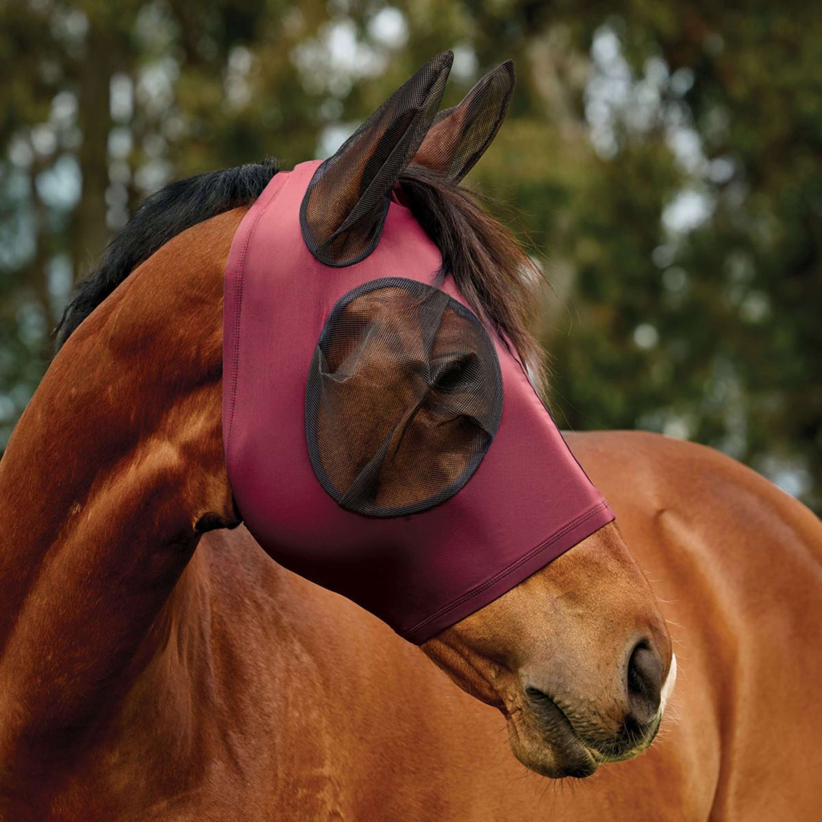 WeatherBeeta Vliegenmasker ComFiTec Deluxe Stretch met Oren Burgundy/Zwart