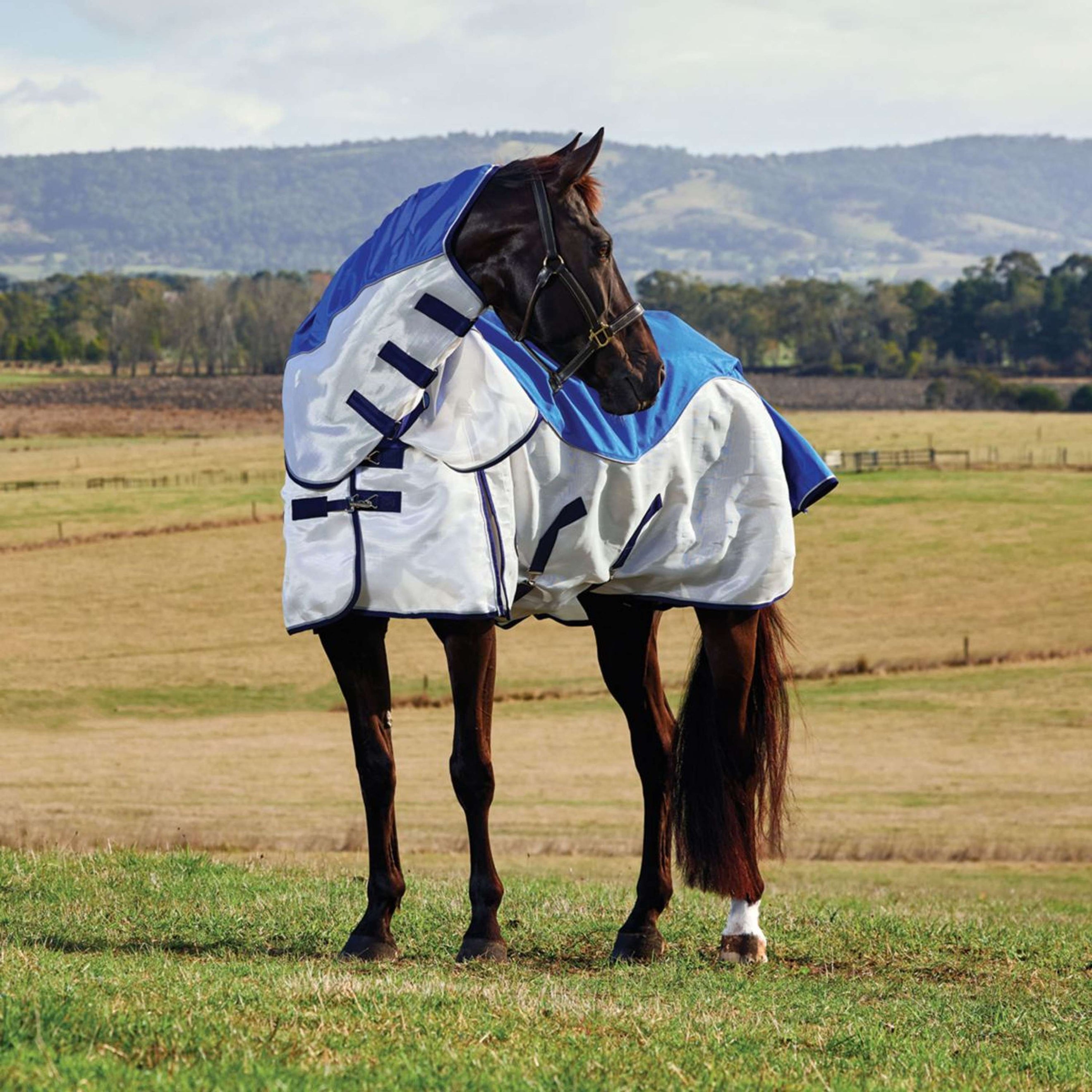 WeatherBeeta ComFiTec Duo Shield Detach-A-Neck Blauw/Zilver/Navy WeatherBeeta ComFiTec Duo Shield Detach-A-Neck Blauw/Zilver/Navy