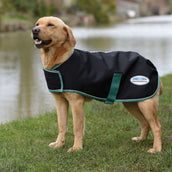 Weatherbeeta Green-Tec 900D Dog Coat Lite Plus Zwart/bottle Groen