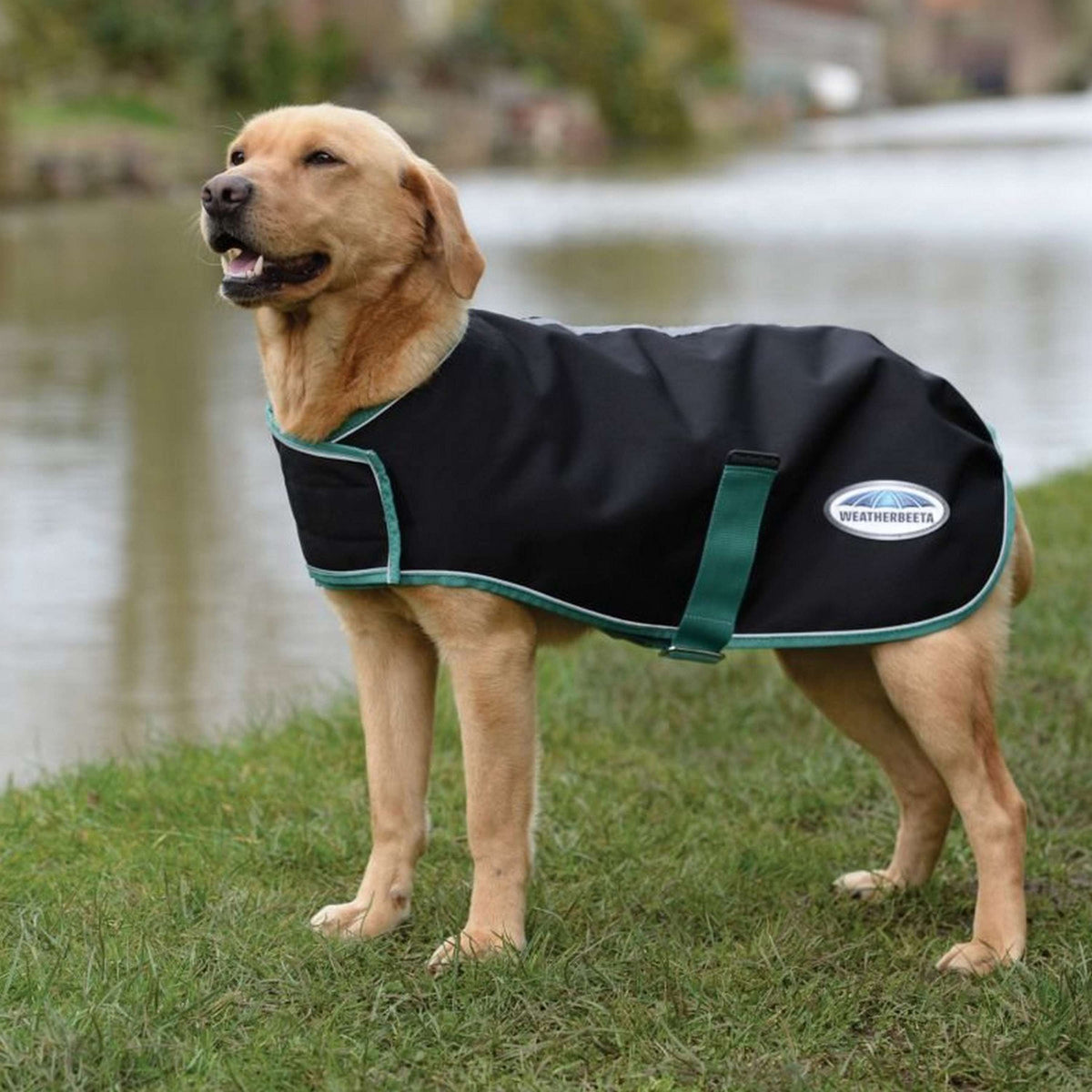 Weatherbeeta Green-Tec 900D Dog Coat Lite Medium Zwart/bottle Groen