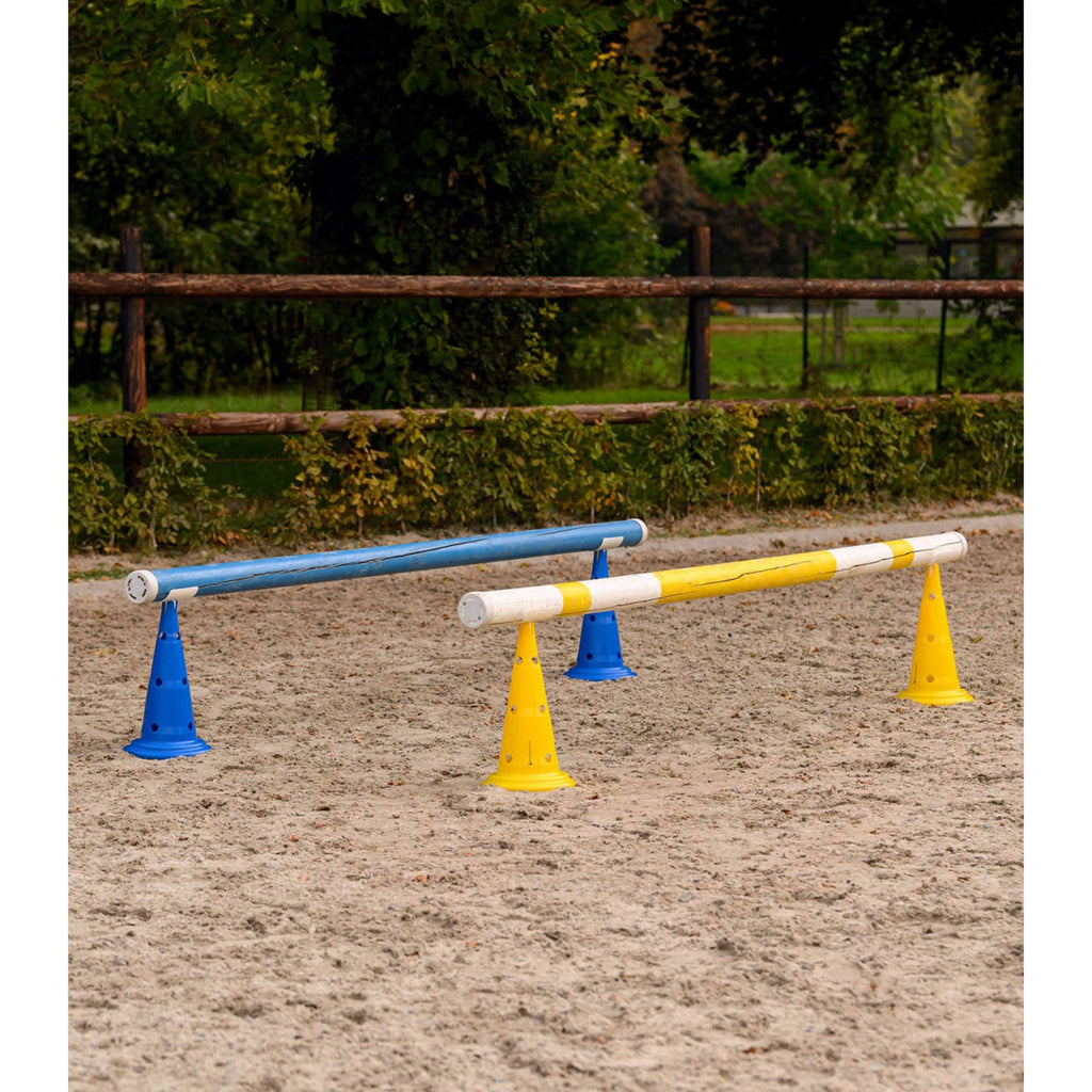 Waldhausen XL Pionnen Set van 8 Blauw/Geel