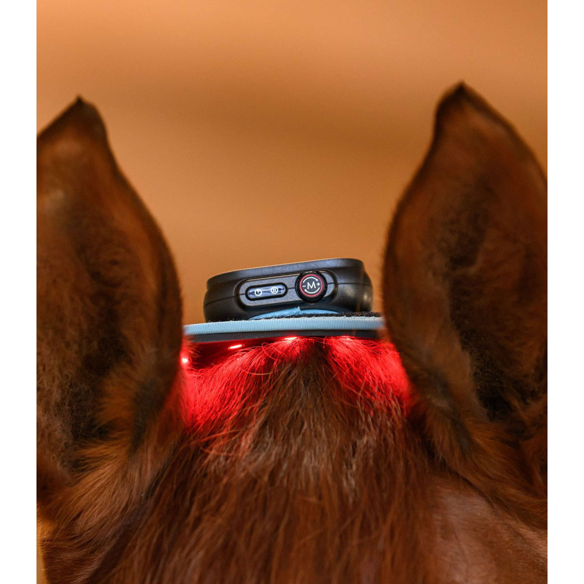 Waldhausen Health + Care Infrarood FlexPad Zwart