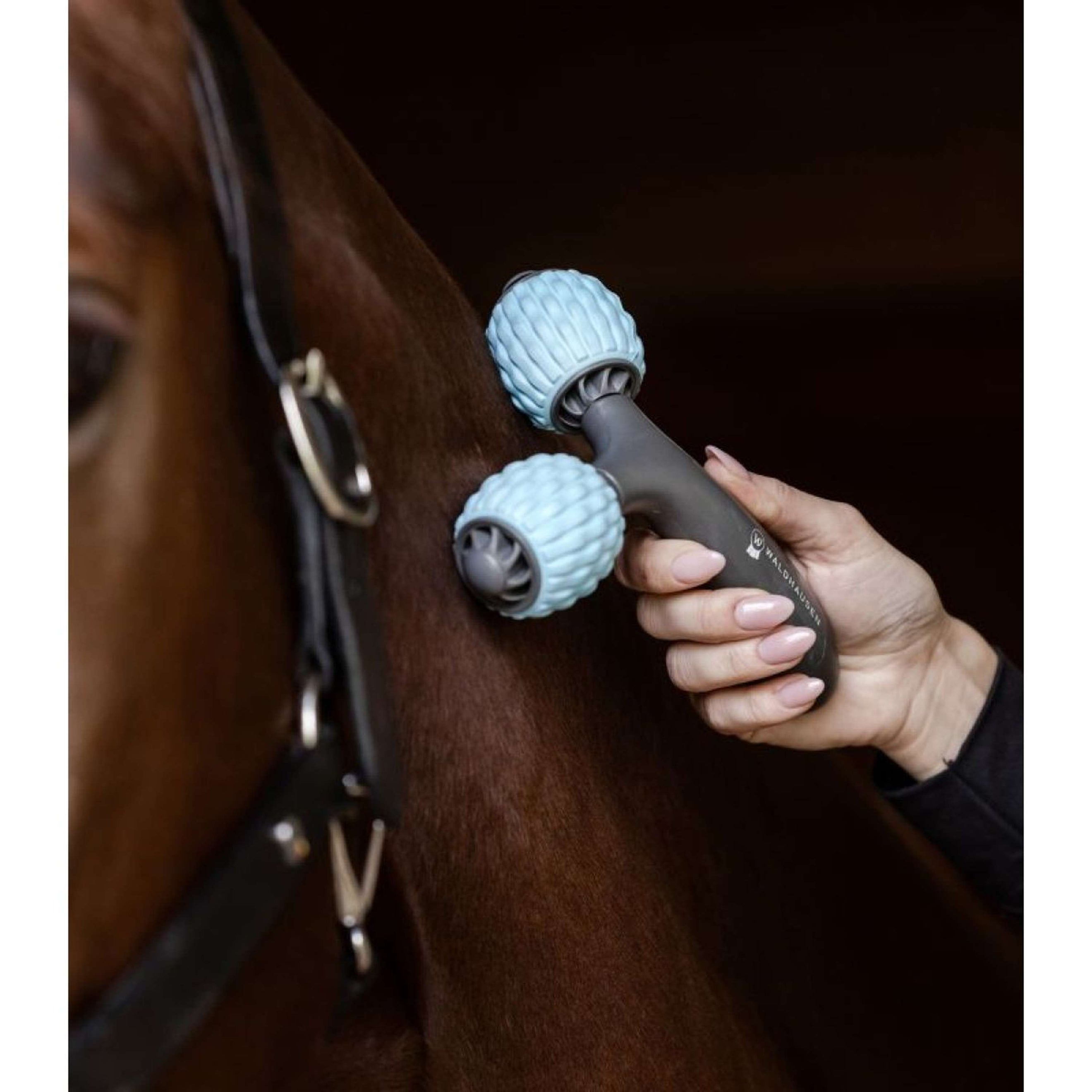 Waldhausen Health + Care Massageborstel Comfort Creator Grijs/Blauw Waldhausen Health + Care Massageborstel Comfort Creator Grijs/Blauw