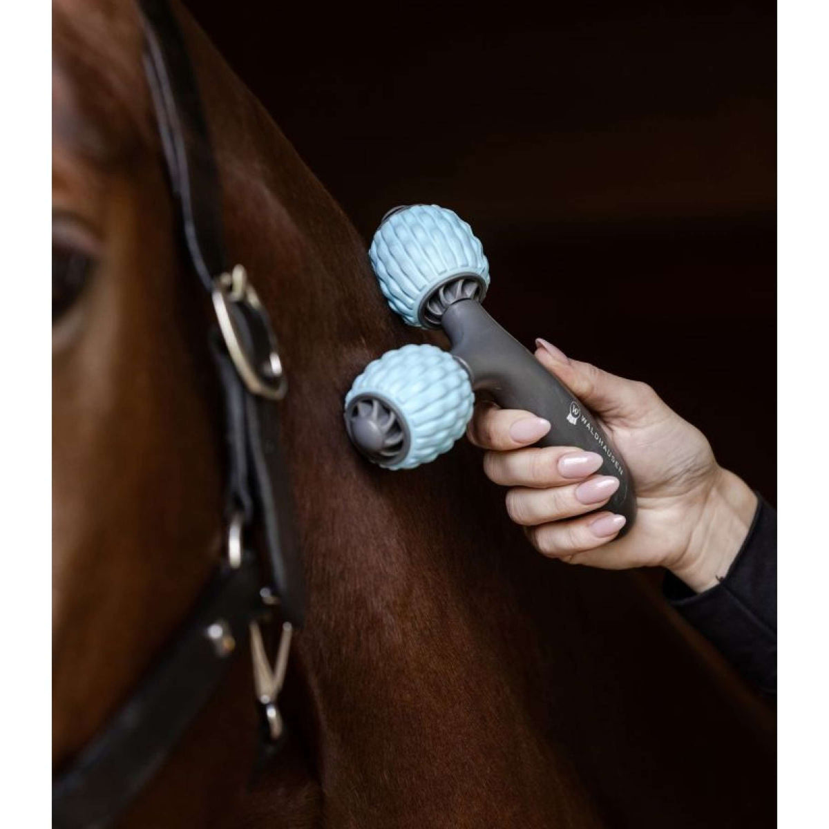 Waldhausen Health + Care Massageborstel Comfort Creator Grijs/Blauw