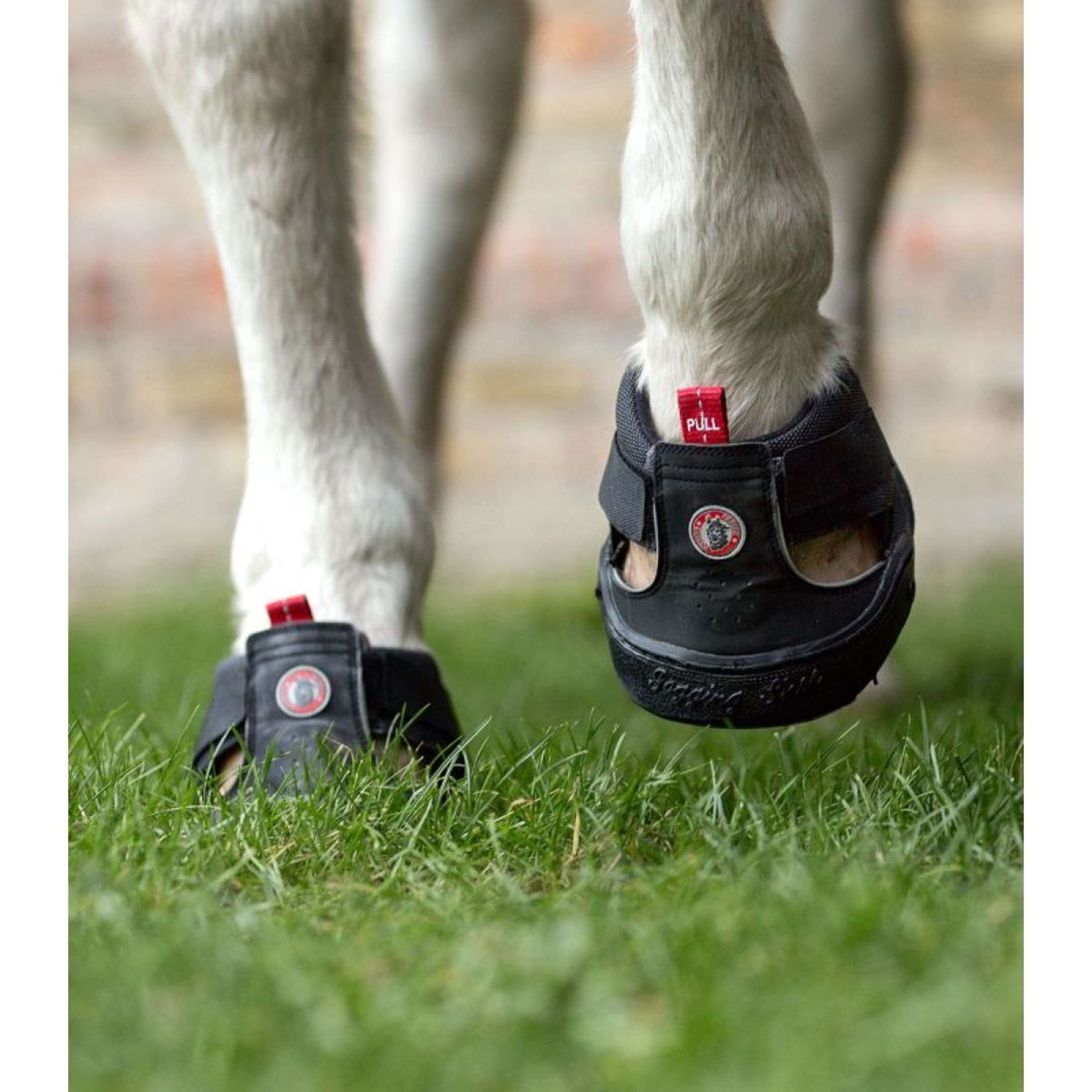 Equine Fusion Hoefschoen Trekking Zwart