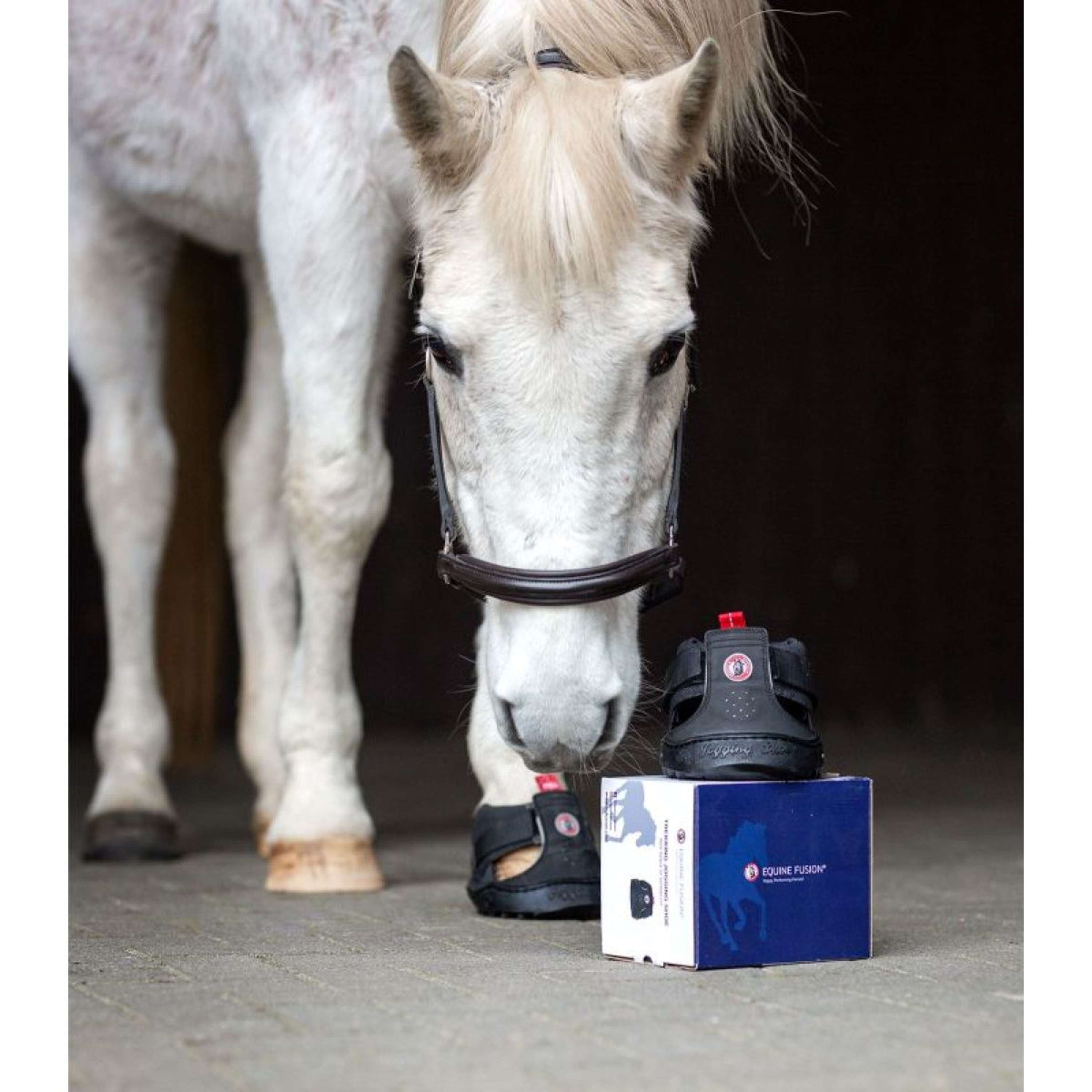 Equine Fusion Hoefschoen Trekking Zwart