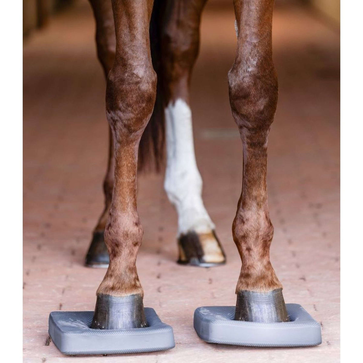 Waldhausen Health + Care Balance Pads Grijs