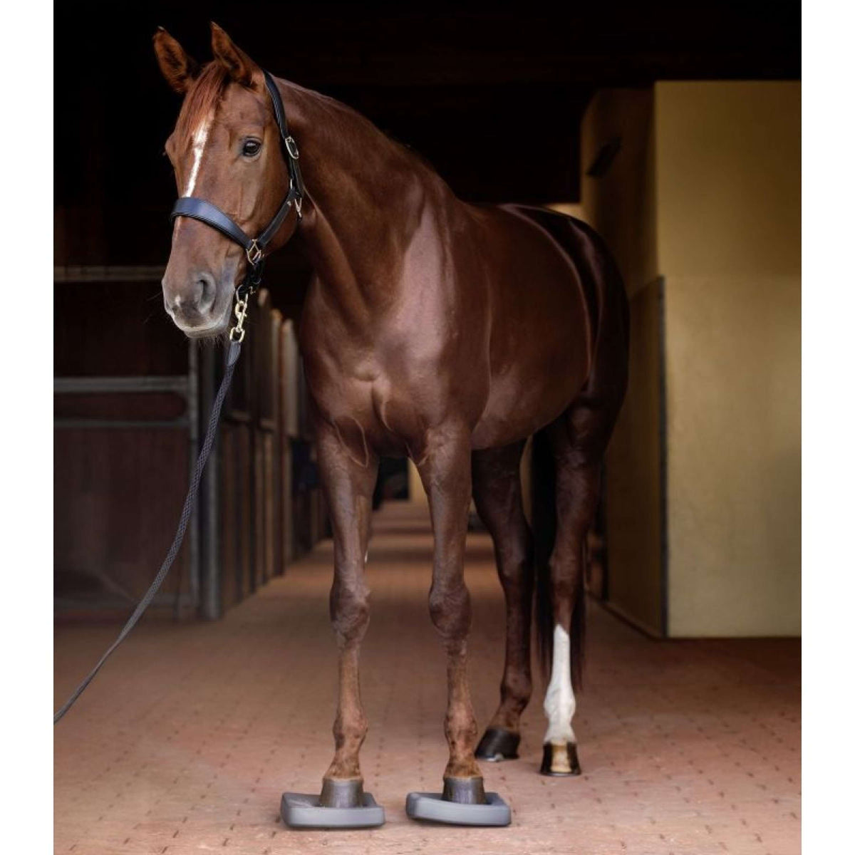 Waldhausen Health + Care Balance Pads Grijs