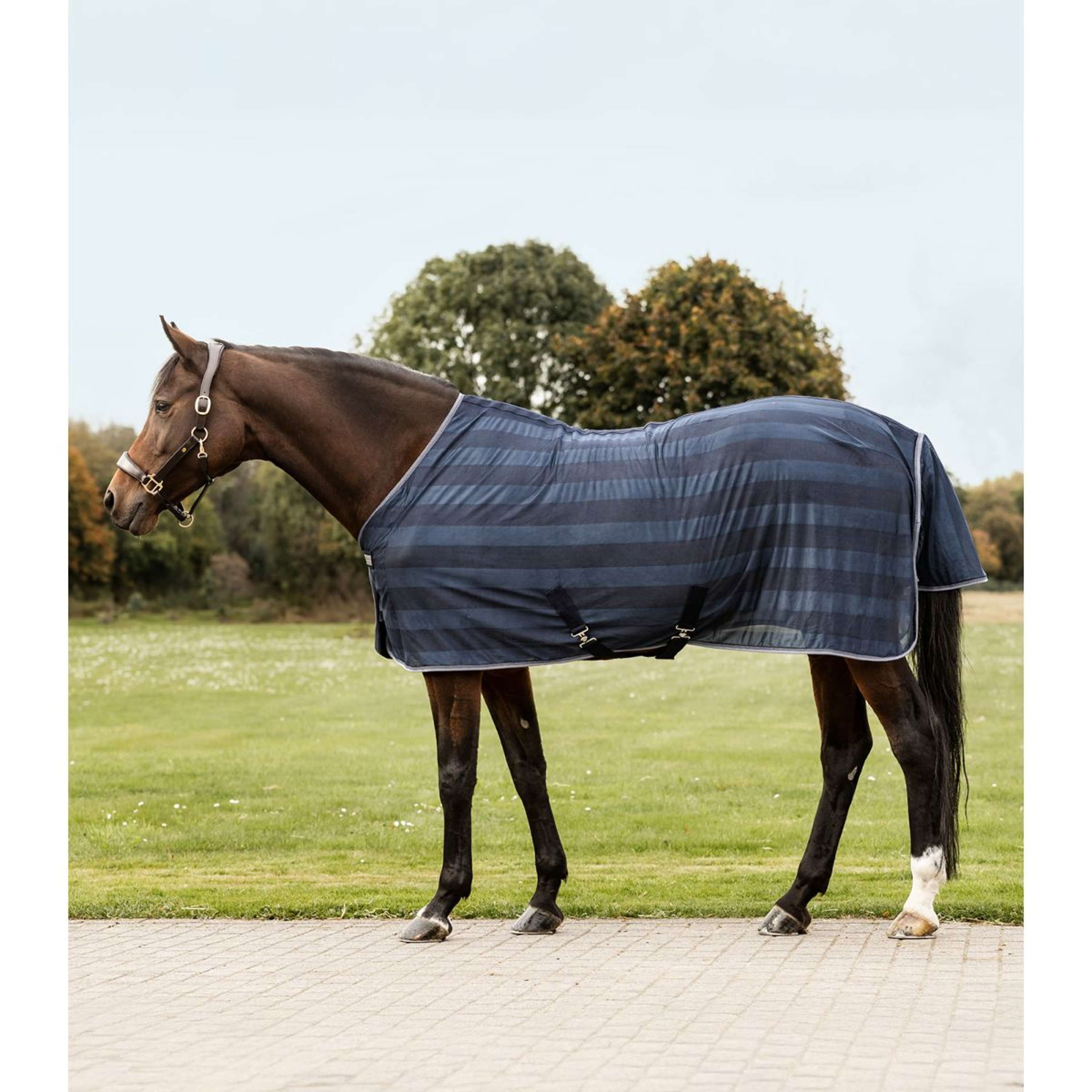 Waldhausen Economic - Onderdeken - 200 gr - Paardendeken - Zwart - 125/175 Waldhausen Economic - Onderdeken - 200 gr - Paardendeken - Zwart - 125/175