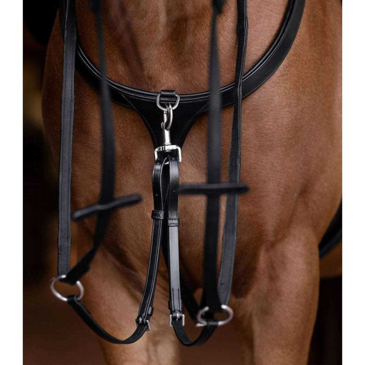 Waldhausen Martingaal X-Line Zwart