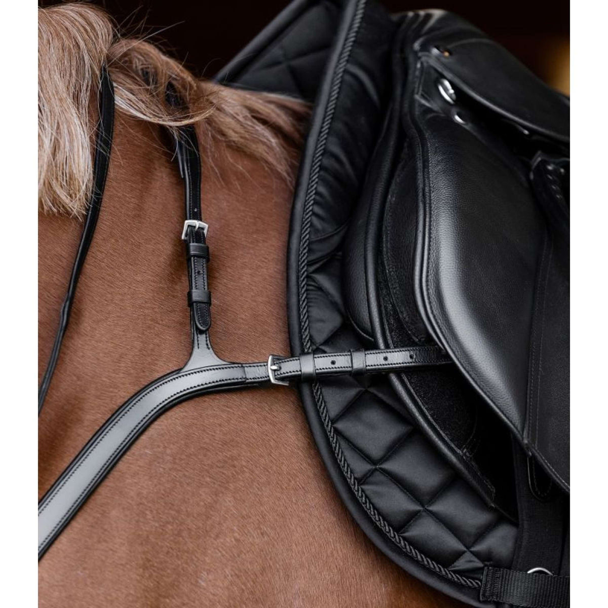 Waldhausen Martingaal X-Line Zwart