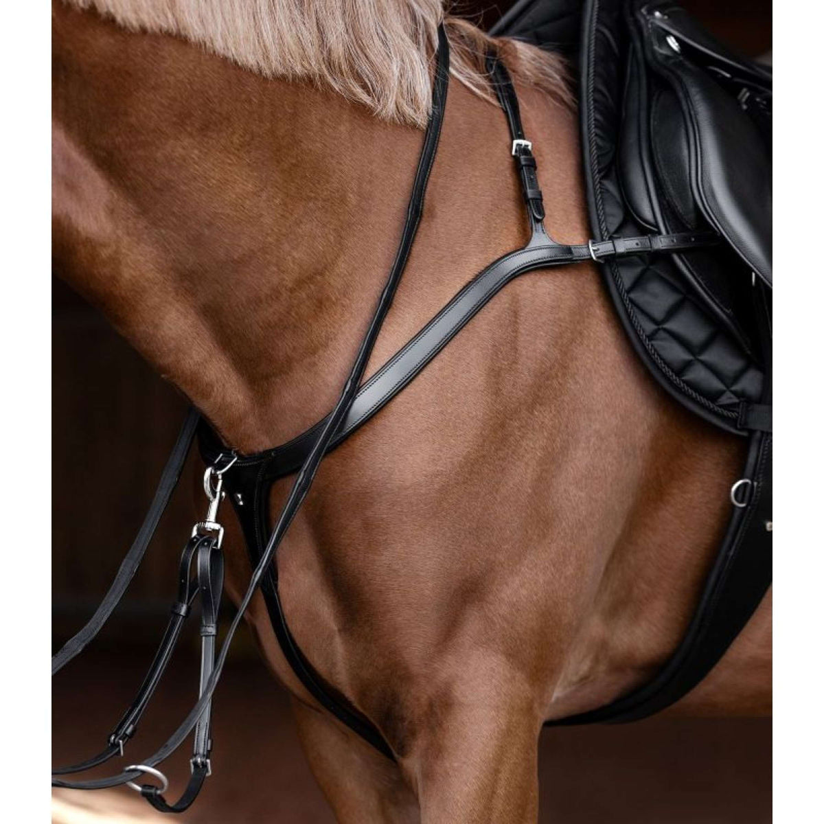 Waldhausen Martingaal X-Line Bruin